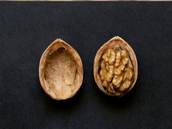 Walnut Shell